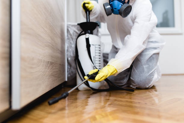 Pest Control Cost in Clinton, MD