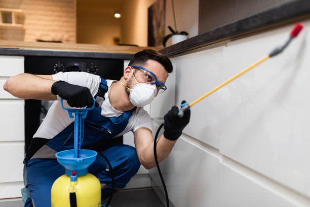 Best Local Pest Control Services  in Clinton, MD