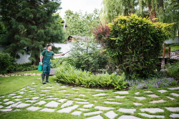 Best Pest Control Near Me  in Clinton, MD