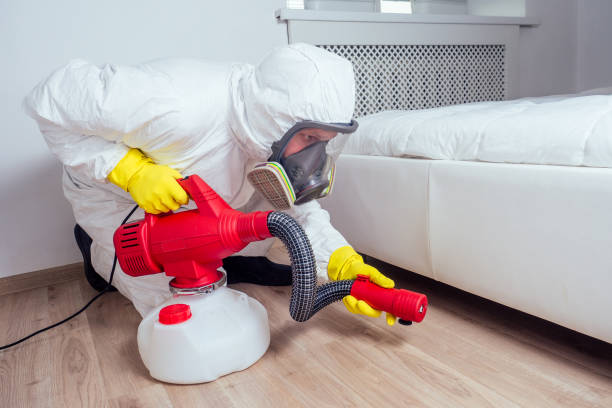 Best Cockroach Control Services  in Clinton, MD