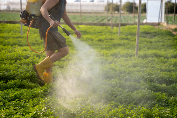 Best Affordable Pest Control Services  in Clinton, MD