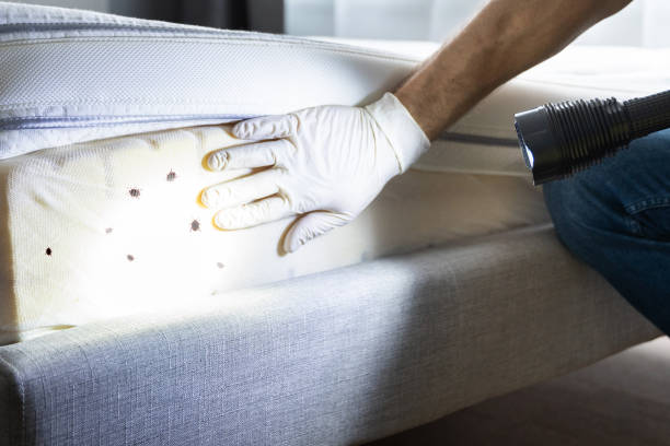 Best Pest Prevention Services  in Clinton, MD