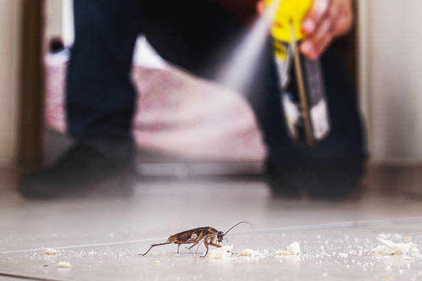 Best Bed Bug Extermination  in Clinton, MD