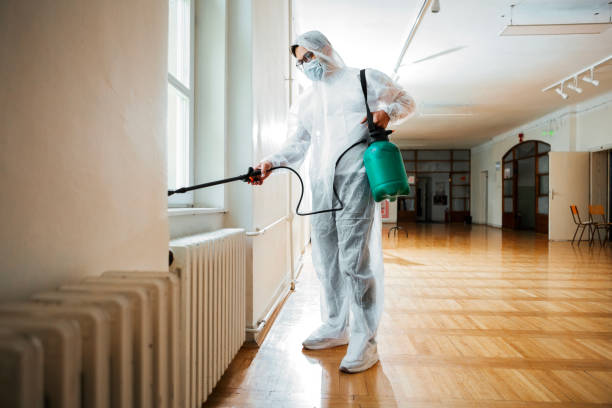 Best Rat Extermination Near Me  in Clinton, MD